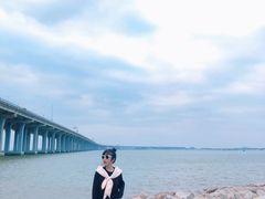 -宝安西湾红树林湿地公园