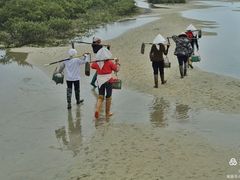 -北海金海湾红树林生态旅游区