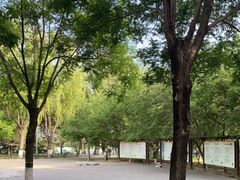 -大兴滨河森林公园