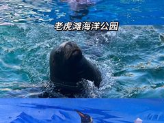 -品海楼·大连海鲜(老虎滩店)