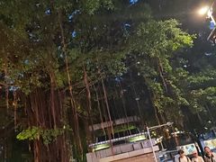 -香港新发烧腊茶餐厅(水围店)
