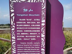 -阳台山自然风景区