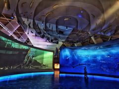 -贝林大翅鲸简餐厅(国家海洋博物馆店)