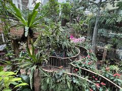 -正佳雨林生态植物园