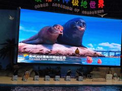 -泉城欧乐堡海洋极地世界