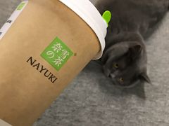 -奈雪的茶(中海环宇荟店)