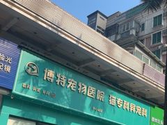 -博特宠物医院24h犬猫全科.骨科·异宠