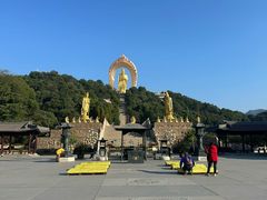 -庐山风景名胜区-东林大佛