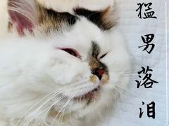 -灵美宠物诊所