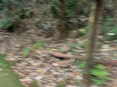 -成都老君山