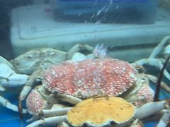 -阳光码头海鲜火锅(世纪大道店)