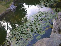 -三里河公园