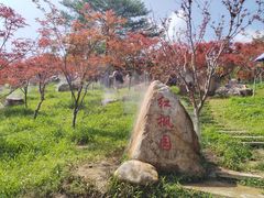 -广州市帽峰山景区