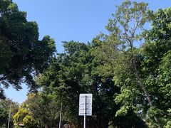 -海心沙亚运公园