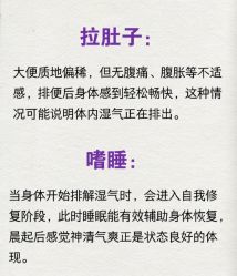 -Fundi张玉珊修身堂·indiba·BTL科技瘦身