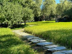 -北坞公园