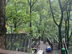 -巴倒烫陆派火锅山庄(南山总店)
