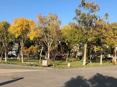 -廊坊文化艺术中心