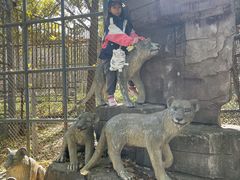 -哈尔滨北方森林动物园