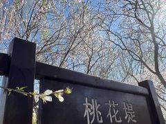 -桃花堤公园
