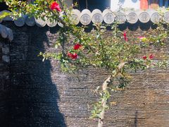 -炊烟餐厅