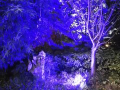 -三盛颐景园-停车场