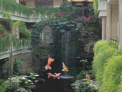 -广州白天鹅宾馆