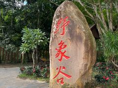 -野象谷景区