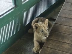 -秦皇岛野生动物园