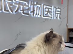 -瑞派宠物医院·24h·骨外科·皮肤科·全科宠物医疗转诊中心(沈阳浑南院)