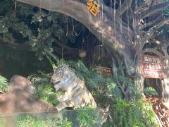 -长鹿旅游休博园