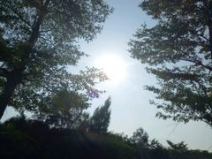 -巨鹏飞梦幻海岸
