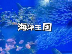 -海合安武汉极地海洋公园