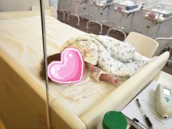 -海豚湾高端月子会所(黄浦店)