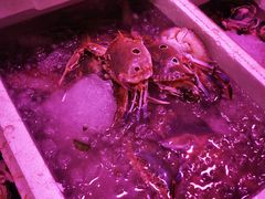 -长平肥姐白粥·海鲜打冷