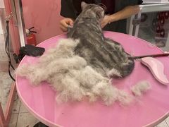 -FAELING PETS美天灵宠物(合生汇店)