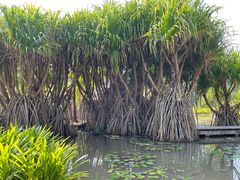 -中国科学院西双版纳热带植物园