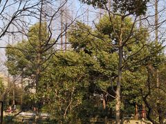 -兰溪青年公园