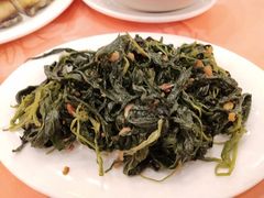 炒麻叶-深运潮州粥(东门店)