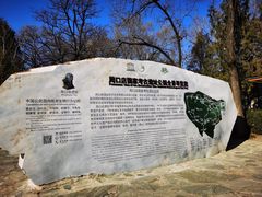 -周口店北京人遗址公园