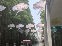 -日照海滨国家森林公园