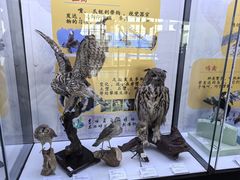 -吉林省自然博物馆