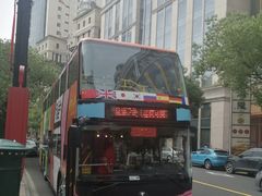 -BUS TOUR观光巴士