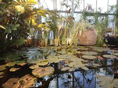 -国家植物园南园