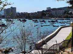 -海源公园