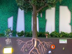 -苏州青少年科技馆