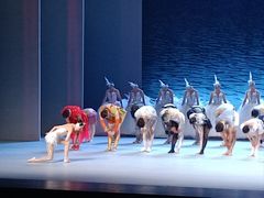 -顺德演艺中心大剧院