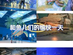 -重庆欢乐海底世界