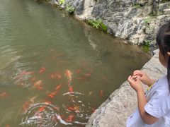 -十渡东湖港风景区