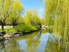 -上海滨江森林公园